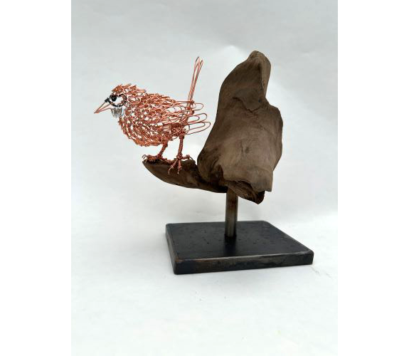 "Winter Wren" - Colleen Cotey